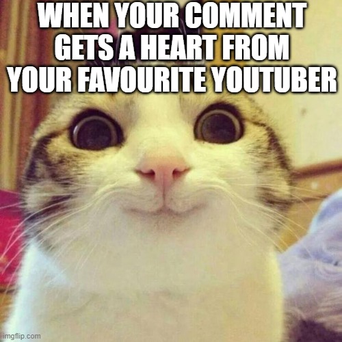 yay :D |  WHEN YOUR COMMENT GETS A HEART FROM YOUR FAVOURITE YOUTUBER | image tagged in memes,smiling cat,happy,youtube,youtube comments,happy cat | made w/ Imgflip meme maker