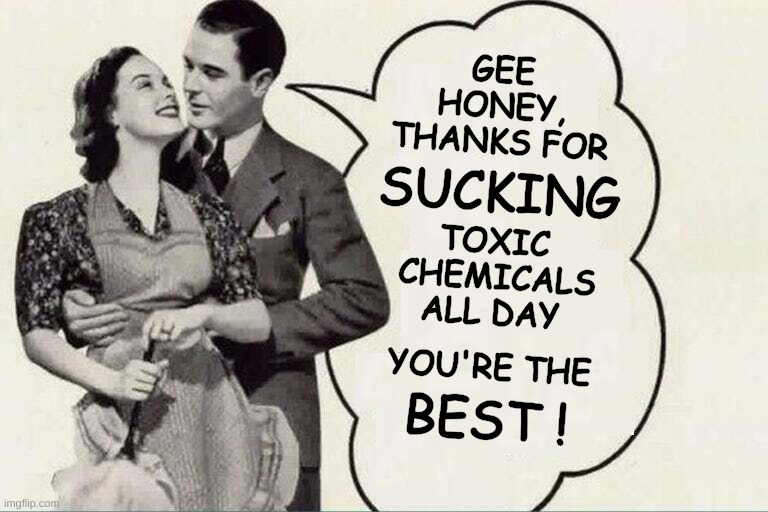 Now, that's love! | GEE
 HONEY, 
THANKS FOR; SUCKING; TOXIC 
CHEMICALS
ALL DAY; YOU'RE THE; BEST ! | image tagged in 1950s housewife,advertising,ain't nobody got time for that,that face you make when,chemicals,toxic | made w/ Imgflip meme maker