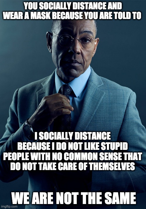 not the same - rohb/rupe | YOU SOCIALLY DISTANCE AND WEAR A MASK BECAUSE YOU ARE TOLD TO; I SOCIALLY DISTANCE BECAUSE I DO NOT LIKE STUPID PEOPLE WITH NO COMMON SENSE THAT DO NOT TAKE CARE OF THEMSELVES; WE ARE NOT THE SAME | image tagged in gus fring we are not the same | made w/ Imgflip meme maker