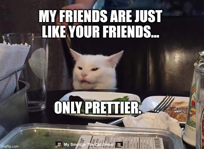 MY FRIENDS ARE JUST LIKE YOUR FRIENDS... ONLY PRETTIER. | image tagged in smudge the cat | made w/ Imgflip meme maker