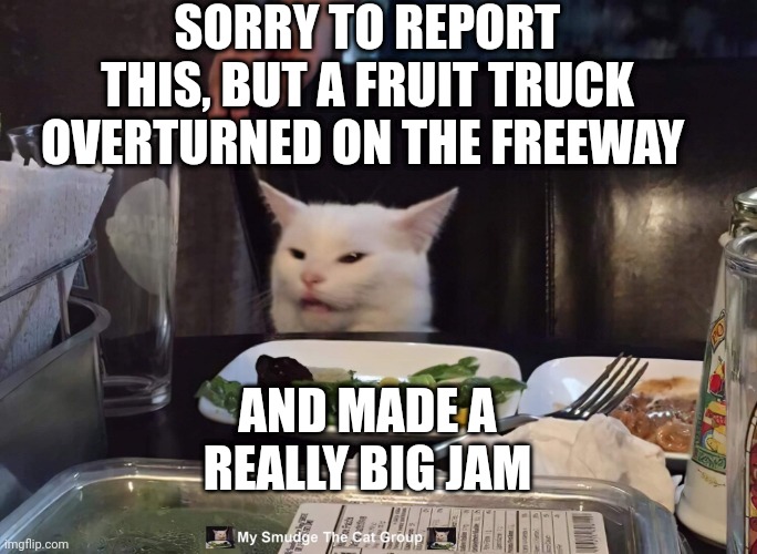 SORRY TO REPORT THIS, BUT A FRUIT TRUCK OVERTURNED ON THE FREEWAY; AND MADE A REALLY BIG JAM | image tagged in smudge the cat | made w/ Imgflip meme maker