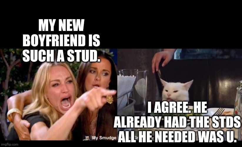MY NEW BOYFRIEND IS SUCH A STUD. I AGREE. HE ALREADY HAD THE STDS ALL HE NEEDED WAS U. | image tagged in smudge the cat | made w/ Imgflip meme maker