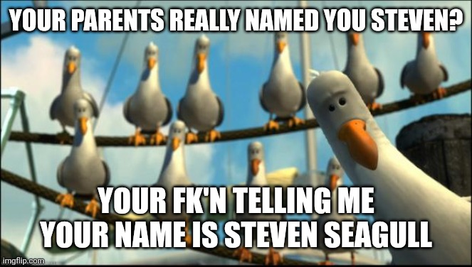 Nemo Seagulls Mine | YOUR PARENTS REALLY NAMED YOU STEVEN? YOUR FK'N TELLING ME YOUR NAME IS STEVEN SEAGULL | image tagged in nemo seagulls mine | made w/ Imgflip meme maker