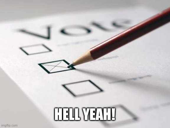 Voting Ballot | HELL YEAH! | image tagged in voting ballot | made w/ Imgflip meme maker