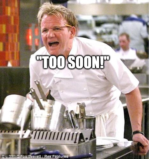 Chef Gordon Ramsay Meme | "TOO SOON!" | image tagged in memes,chef gordon ramsay | made w/ Imgflip meme maker