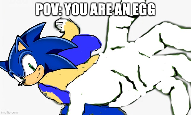 HoW Do yOu dRoP An eGg wItHoUt bReAkInG It?!?! |  POV: YOU ARE AN EGG | image tagged in sonic punch,egg,sonic the hedgehog,sonic | made w/ Imgflip meme maker