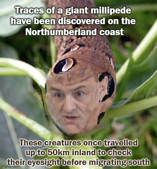 Visually-impaired Millipede |  Traces of a giant millipede 
have been discovered on the 
Northumberland coast; These creatures once travelled up to 50km inland to check their eyesight before migrating south | image tagged in fossil,northumberland,england,boris johnson,castle,lockdown | made w/ Imgflip meme maker