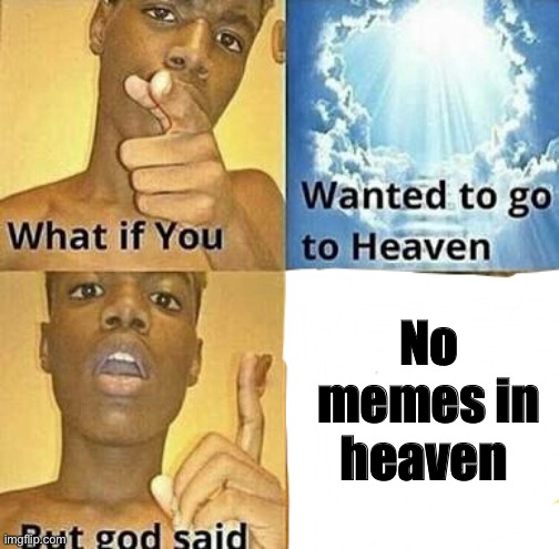 What if you wanted to go to Heaven | No memes in heaven | image tagged in what if you wanted to go to heaven | made w/ Imgflip meme maker
