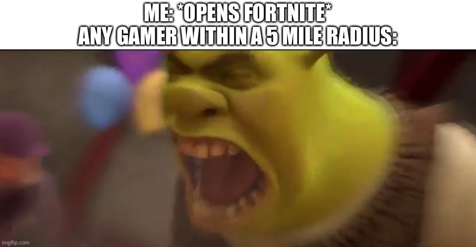 Apparently it’s Illegal to play fortnite | ME: *OPENS FORTNITE*
ANY GAMER WITHIN A 5 MILE RADIUS: | image tagged in shrek screaming | made w/ Imgflip meme maker