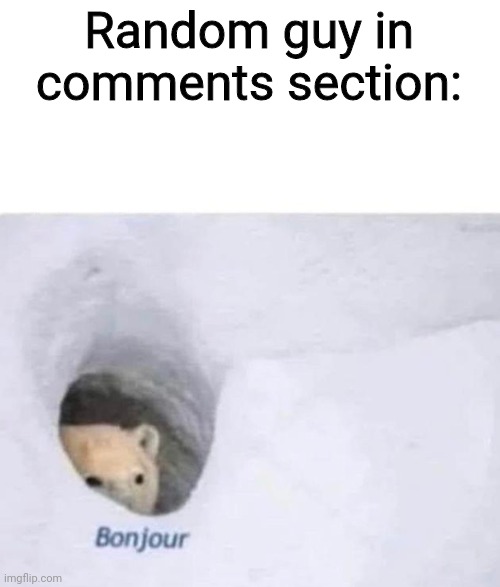 Bonjour | Random guy in comments section: | image tagged in bonjour | made w/ Imgflip meme maker