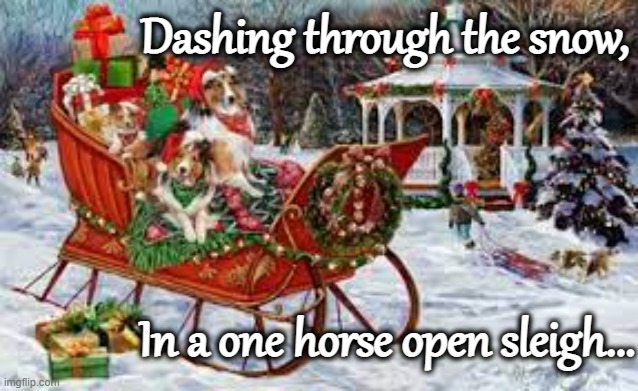 Sheltie Christmas | Dashing through the snow, In a one horse open sleigh... | image tagged in sheltie,sleigh,snow,christmas,dashing through the snow | made w/ Imgflip meme maker