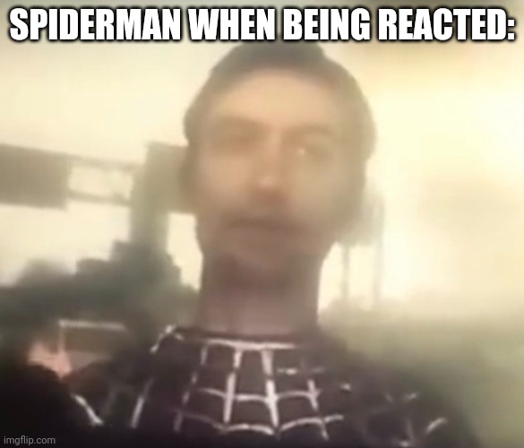 Deepfake Tobey Maguire | SPIDERMAN WHEN BEING REACTED: | image tagged in deepfake tobey maguire,spiderman,funny,memes,spiderman no way home,barney will eat all of your delectable biscuits | made w/ Imgflip meme maker