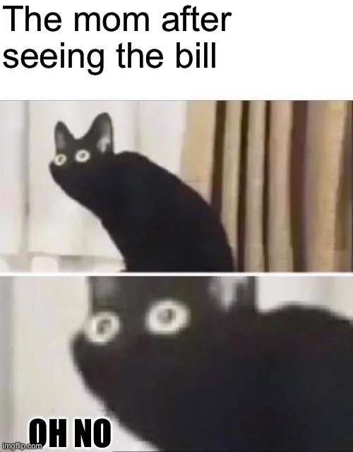 Oh No Black Cat | The mom after seeing the bill OH NO | image tagged in oh no black cat | made w/ Imgflip meme maker