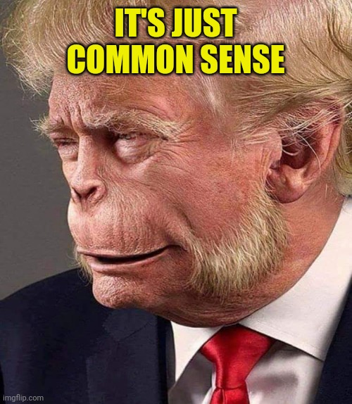 Planet of the Trumps | IT'S JUST COMMON SENSE | image tagged in planet of the trumps | made w/ Imgflip meme maker