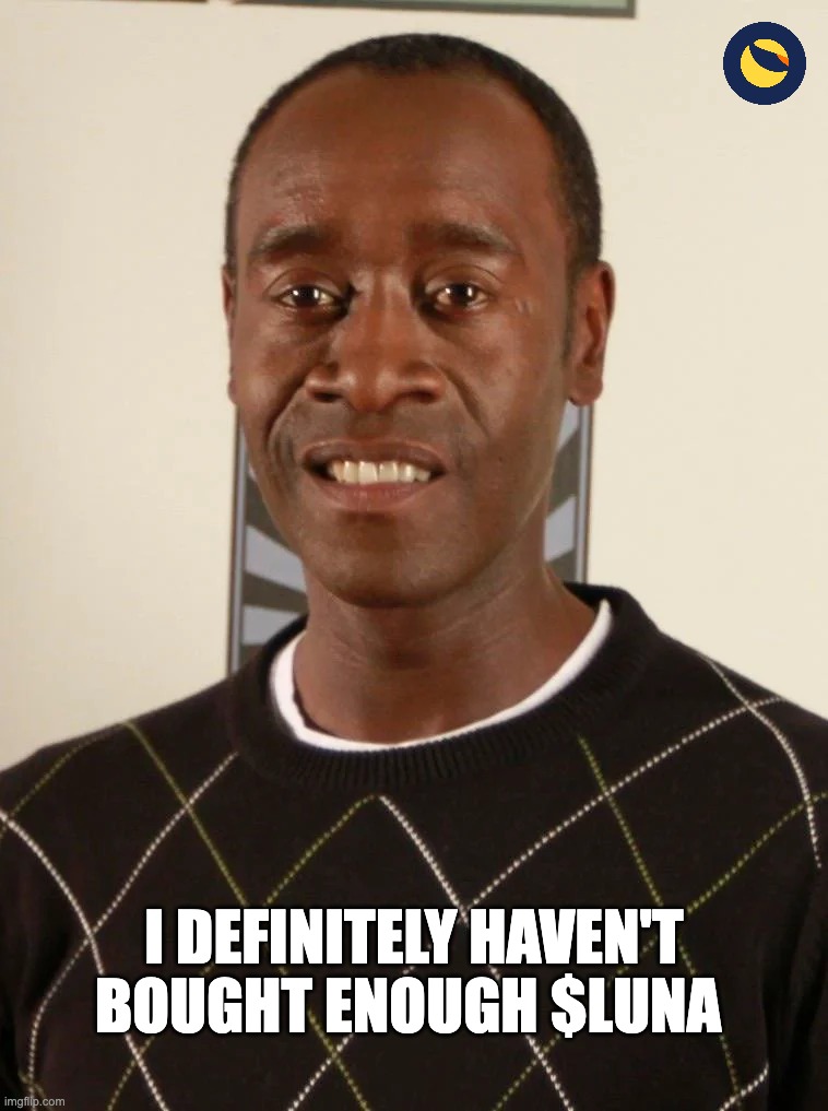 Don Cheadle | I DEFINITELY HAVEN'T BOUGHT ENOUGH $LUNA | image tagged in don cheadle | made w/ Imgflip meme maker