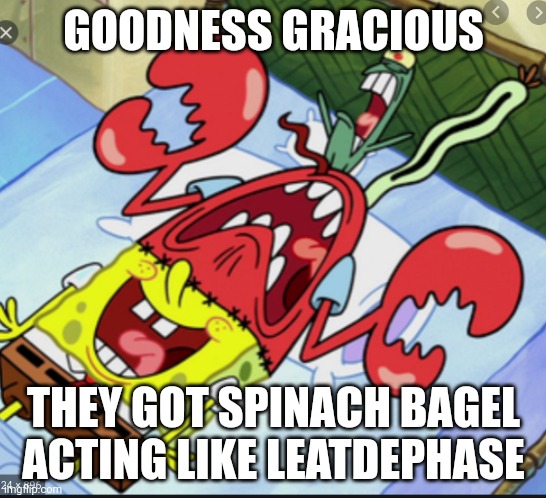 AW NAH SPUNCH BOP | GOODNESS GRACIOUS; THEY GOT SPINACH BAGEL ACTING LIKE LEATDEPHASE | image tagged in spunch bop 1 | made w/ Imgflip meme maker