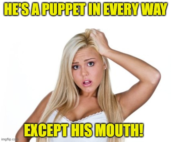 Dumb Blonde | HE'S A PUPPET IN EVERY WAY EXCEPT HIS MOUTH! | image tagged in dumb blonde | made w/ Imgflip meme maker