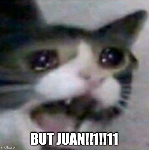 crying cat | BUT JUAN!!1!!11 | image tagged in crying cat | made w/ Imgflip meme maker