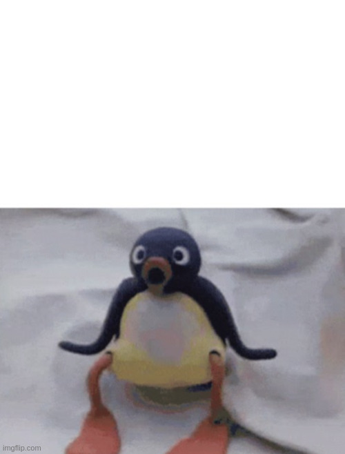 Surprised Pingu | image tagged in surprised pingu | made w/ Imgflip meme maker