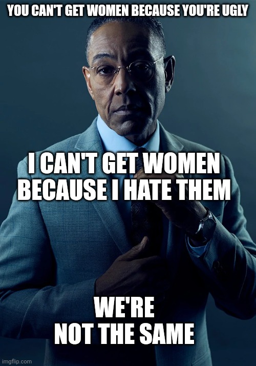 : skull: | YOU CAN'T GET WOMEN BECAUSE YOU'RE UGLY; I CAN'T GET WOMEN BECAUSE I HATE THEM; WE'RE NOT THE SAME | image tagged in we are not the same | made w/ Imgflip meme maker
