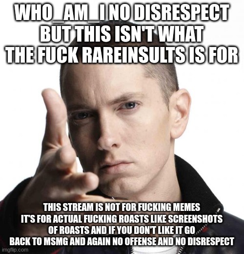 Eminem video game logic | WHO_AM_I NO DISRESPECT BUT THIS ISN'T WHAT THE FUCK RAREINSULTS IS FOR THIS STREAM IS NOT FOR FUCKING MEMES IT'S FOR ACTUAL FUCKING ROASTS L | image tagged in eminem video game logic | made w/ Imgflip meme maker