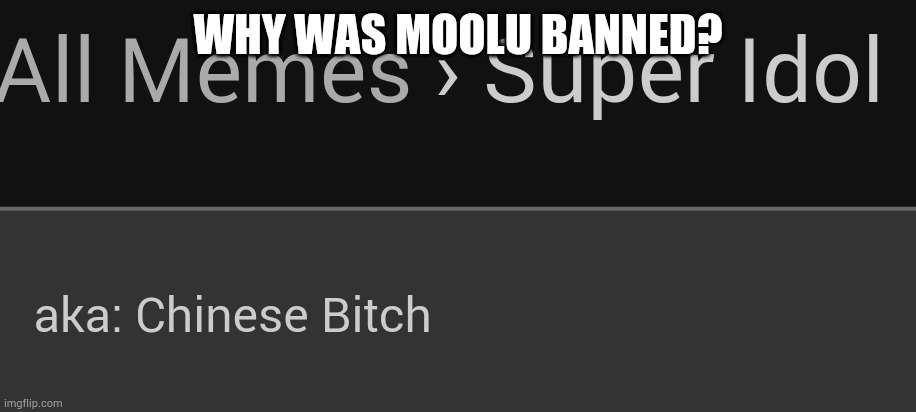 Chinese bitch | WHY WAS MOOLU BANNED? | image tagged in chinese bitch | made w/ Imgflip meme maker