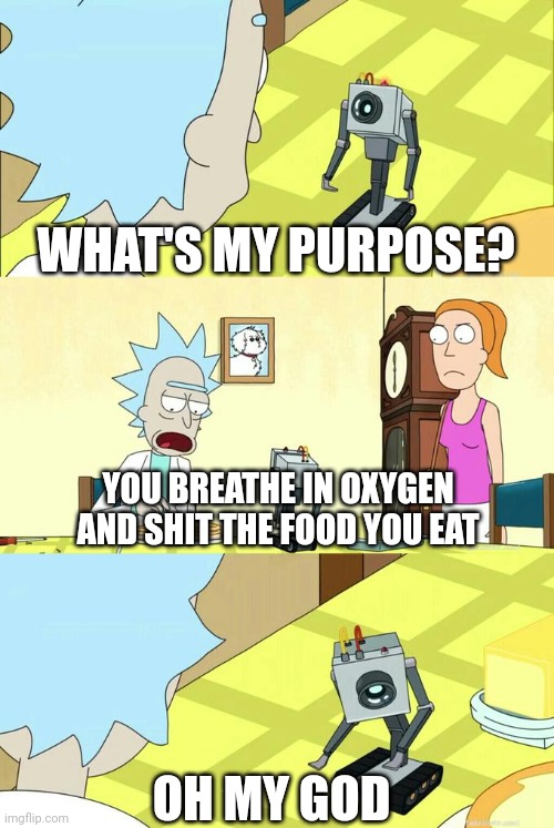 What's My Purpose - Butter Robot | WHAT'S MY PURPOSE? YOU BREATHE IN OXYGEN AND SHIT THE FOOD YOU EAT OH MY GOD | image tagged in what's my purpose - butter robot | made w/ Imgflip meme maker