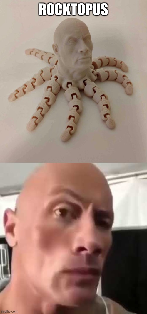 Thanking my mom for this thing she found on pintrest | ROCKTOPUS | image tagged in the rock eyebrows | made w/ Imgflip meme maker