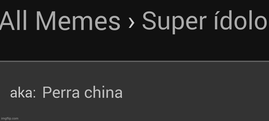 Chinese bitch | Super ídolo; Perra china | image tagged in chinese bitch | made w/ Imgflip meme maker