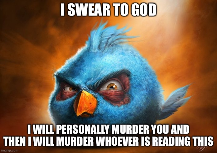 Shitpost | I SWEAR TO GOD; I WILL PERSONALLY MURDER YOU AND THEN I WILL MURDER WHOEVER IS READING THIS | image tagged in angry bird blue,angry,angry birds,memes,funny,shitpost | made w/ Imgflip meme maker