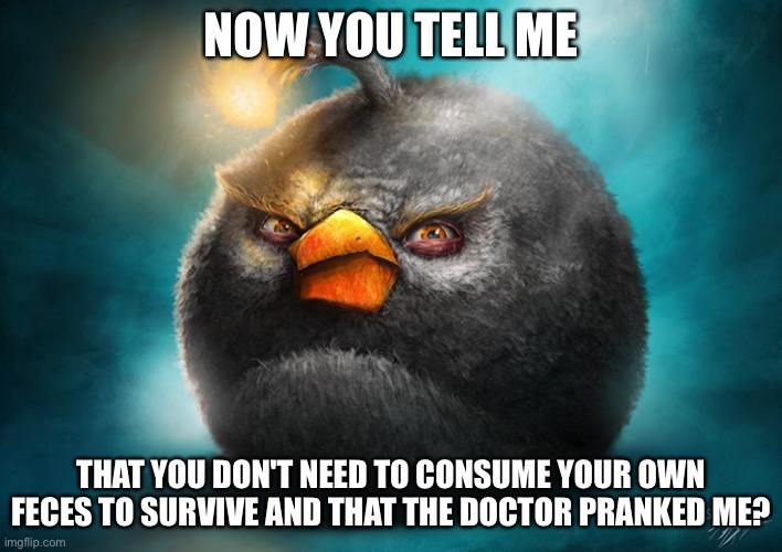 Shitpost | NOW YOU TELL ME; THAT YOU DON'T NEED TO CONSUME YOUR OWN FECES TO SURVIVE AND THAT THE DOCTOR PRANKED ME? | image tagged in angry bird black,shitpost,memes,funny,angry birds | made w/ Imgflip meme maker