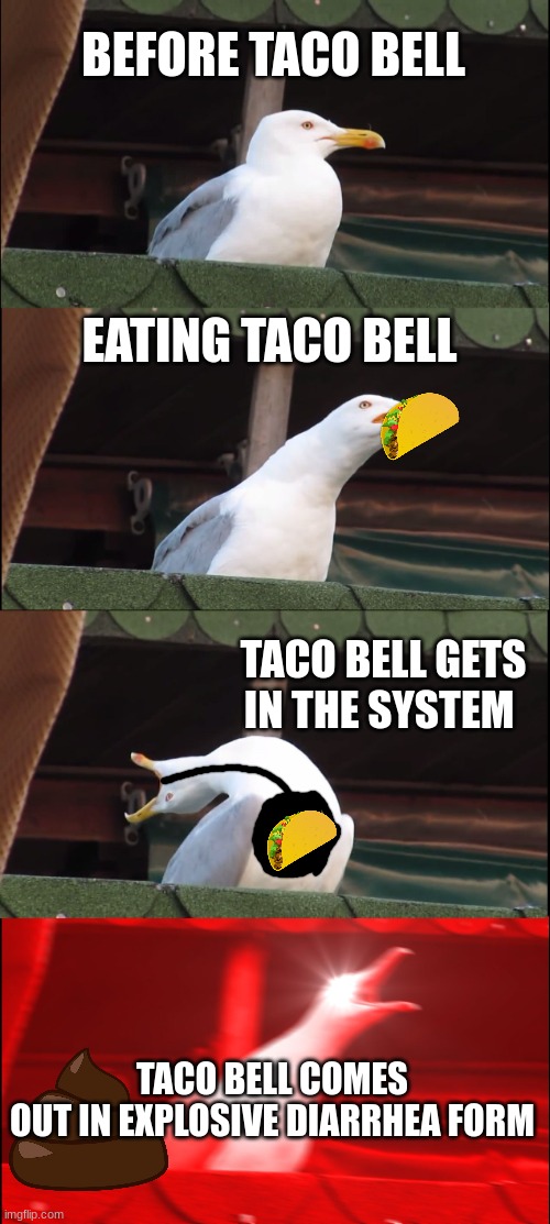Inhaling Seagull Meme | BEFORE TACO BELL; EATING TACO BELL; TACO BELL GETS IN THE SYSTEM; TACO BELL COMES OUT IN EXPLOSIVE DIARRHEA FORM | image tagged in memes,inhaling seagull | made w/ Imgflip meme maker
