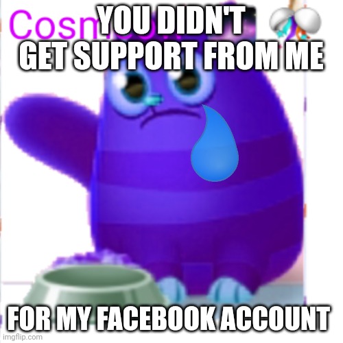 Cookie cat | YOU DIDN'T GET SUPPORT FROM ME; FOR MY FACEBOOK ACCOUNT | image tagged in cookie cat | made w/ Imgflip meme maker