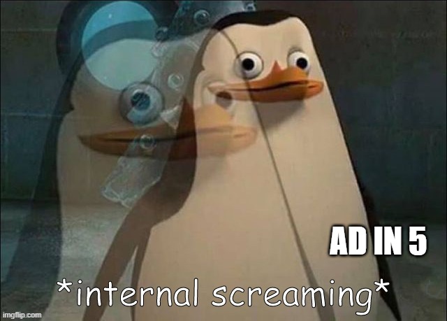 Private Internal Screaming | AD IN 5 | image tagged in private internal screaming,insanity,why | made w/ Imgflip meme maker