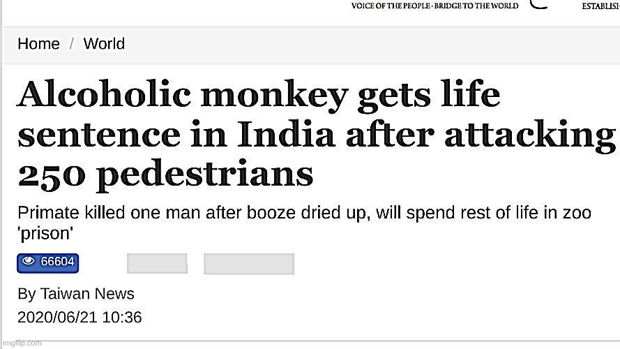 "Stop monkeying around" -one of the 250 pedestrians | image tagged in ive given up,on making fancy,tags | made w/ Imgflip meme maker