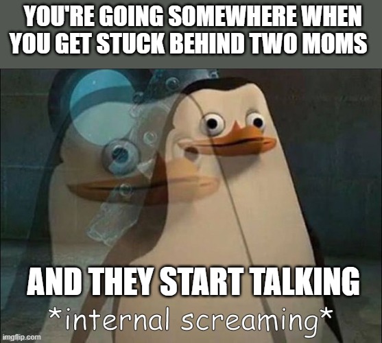 Private Internal Screaming | YOU'RE GOING SOMEWHERE WHEN
YOU GET STUCK BEHIND TWO MOMS; AND THEY START TALKING | image tagged in private internal screaming | made w/ Imgflip meme maker