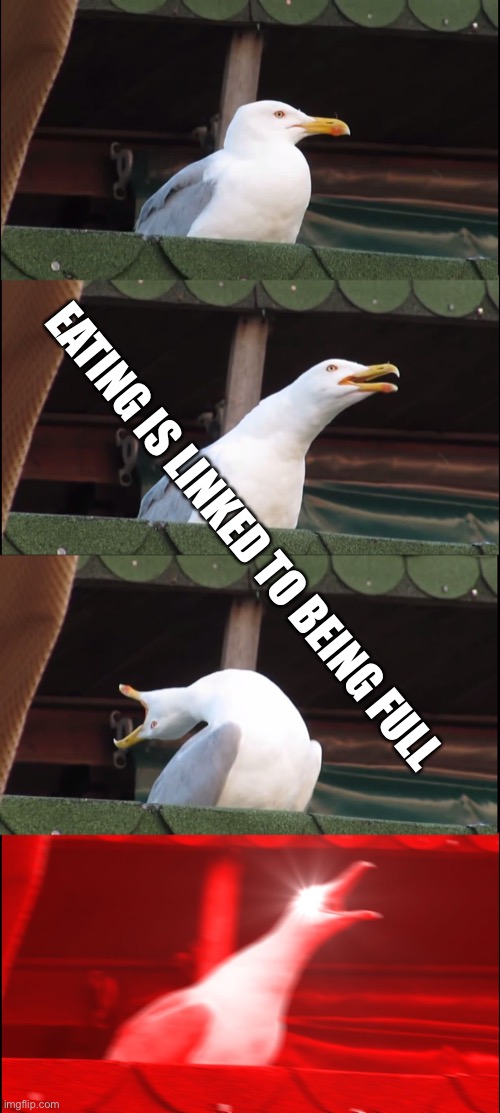 EATING IS LINKED TO BEING FULL | image tagged in memes,inhaling seagull | made w/ Imgflip meme maker