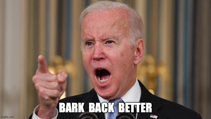 BARK  BACK  BETTER | image tagged in joe biden,political meme | made w/ Imgflip meme maker