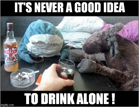 When Your Only Friends Are Cuddly Toys ! | IT'S NEVER A GOOD IDEA; TO DRINK ALONE ! | image tagged in drinking,cuddly toys,friends | made w/ Imgflip meme maker