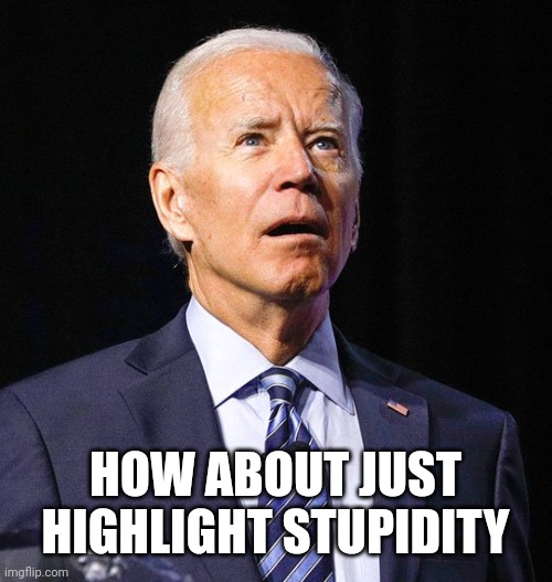 Joe Biden | HOW ABOUT JUST HIGHLIGHT STUPIDITY | image tagged in joe biden | made w/ Imgflip meme maker