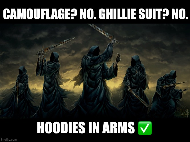 Ping, ping everywhere | CAMOUFLAGE? NO. GHILLIE SUIT? NO. HOODIES IN ARMS ✅ | image tagged in ping,hoodie,cybermen,military,the lord of the rings,we weren't expecting special forces | made w/ Imgflip meme maker