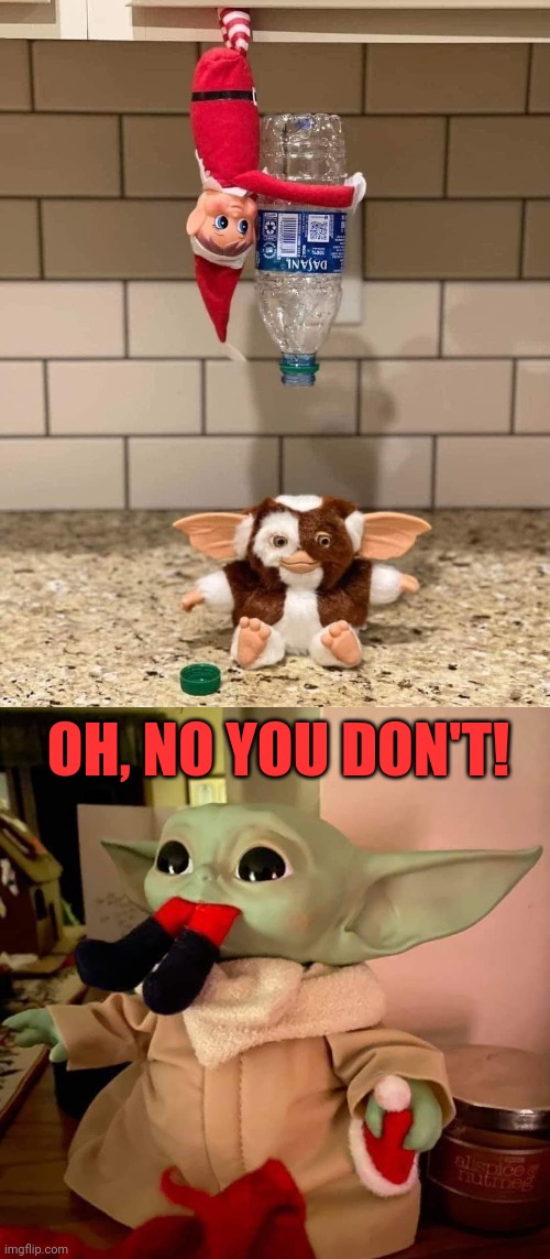 Grogu on the shelf | OH, NO YOU DON'T! | image tagged in elf on the shelf,grogu,baby yoda,gremlins,christmas memes | made w/ Imgflip meme maker