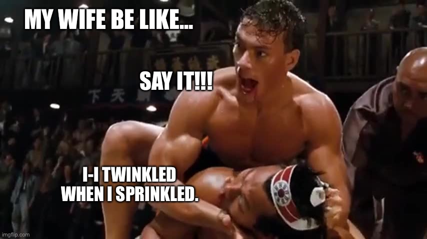 Say It | MY WIFE BE LIKE... SAY IT!!! I-I TWINKLED WHEN I SPRINKLED. | image tagged in fun,van,damme,van damme,funny,fighting | made w/ Imgflip meme maker