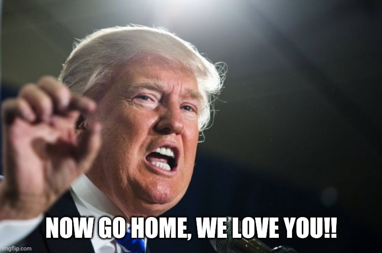 donald trump | NOW GO HOME, WE LOVE YOU!! | image tagged in donald trump | made w/ Imgflip meme maker