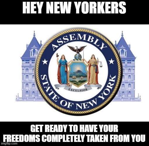 New York will introduce a bill in the state's house to completely eradicate your freedoms. Watch the zombies make excuses. | HEY NEW YORKERS; GET READY TO HAVE YOUR FREEDOMS COMPLETELY TAKEN FROM YOU | image tagged in new york,assembly state of new york,totalitarian,fascist | made w/ Imgflip meme maker