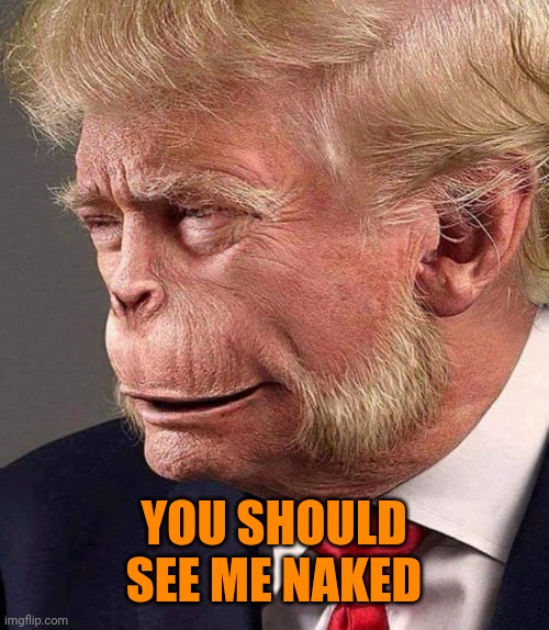 Planet of the Trumps | YOU SHOULD SEE ME NAKED | image tagged in planet of the trumps | made w/ Imgflip meme maker