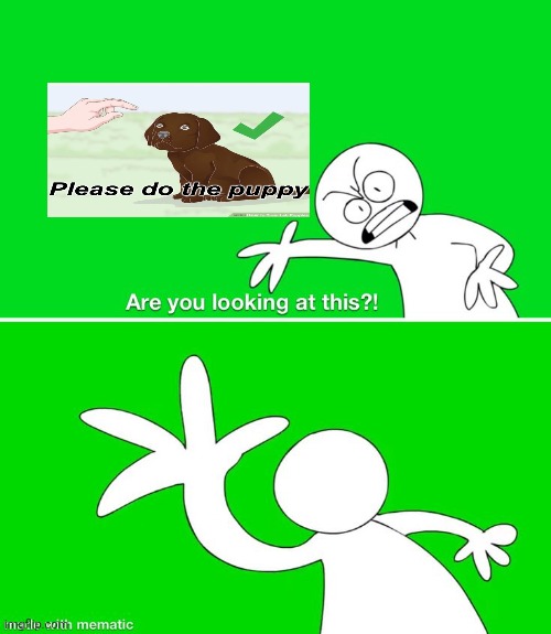 image tagged in are you looking at this | made w/ Imgflip meme maker