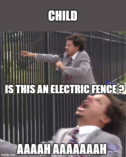 let me in | CHILD; IS THIS AN ELECTRIC FENCE ? AAAAH AAAAAAAH | image tagged in let me in | made w/ Imgflip meme maker