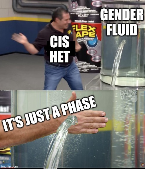 They can't stop the genders fluid | GENDER FLUID; CIS
HET; IT'S JUST A PHASE | made w/ Imgflip meme maker
