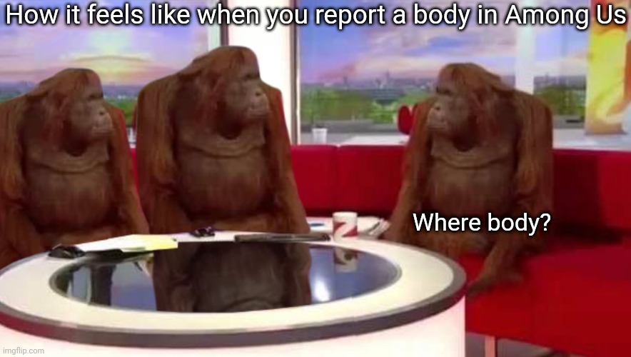 Dead body reported | How it feels like when you report a body in Among Us; Where body? | image tagged in where monkey,among us,funny,memes | made w/ Imgflip meme maker